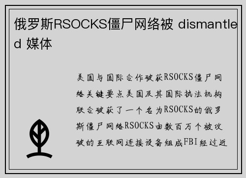 俄罗斯RSOCKS僵尸网络被 dismantled 媒体
